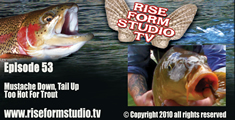 Fly Fishing Video-Carp