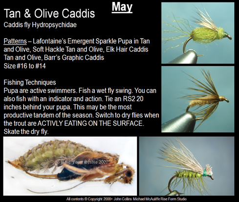 Fly Fishing Presentation